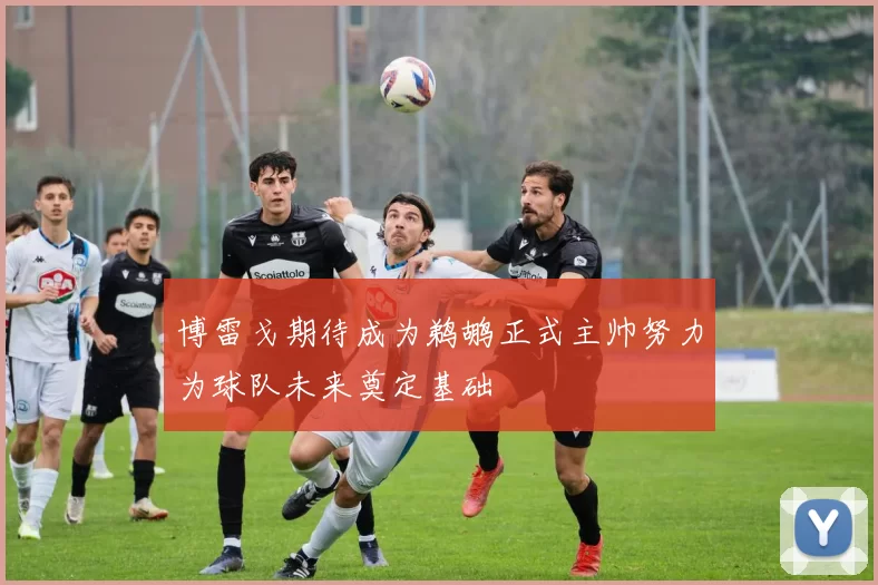 博雷戈期待成为鹈鹕正式主帅努力为球队未来奠定基础