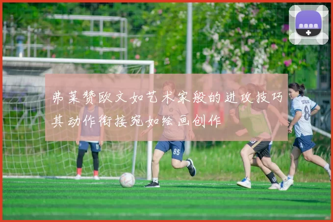 弗莱赞欧文如艺术家般的进攻技巧其动作衔接宛如绘画创作